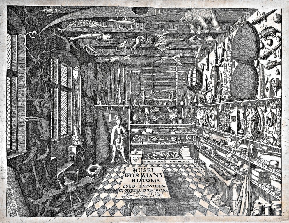 El gabinete de curiosidades de Ole Worm 1655 Medium